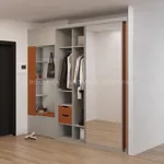 Шкаф-купе U182 тип 3 МДФ/зеркало