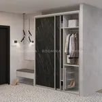 Шкаф-купе U181 тип 2