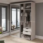 Шкаф-купе U180 тип 1 с зеркалом