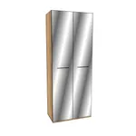 Шкаф двустворчатый с зеркалом C-210.45Z