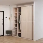 Шкаф-купе U201 тип 2