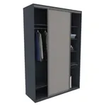 Шкаф-купе U161 тип 2