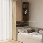 Шкаф для одежды с фальш панелью А212.1