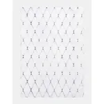 Ковер Vivica White.Anthracite 160x230