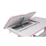 Парта Toru Pink Cubby