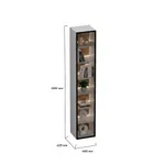 Шкаф напольный со стеклом с подсветкой T200.2S.45
