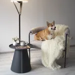 Столик журнальный SHT-CT61, цвет капучино муар/корица