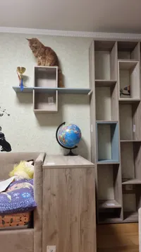 Стеллаж перегородка со вставками L238