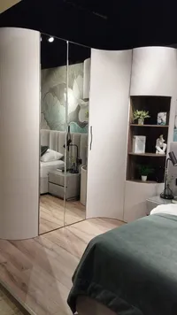 Шкаф 2 дверный с зеркалом P210.60Z