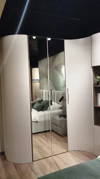 Шкаф 2 дверный с зеркалом P210.60Z