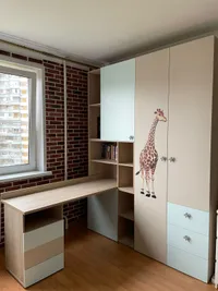 Шкаф комбинированный L215 L/R