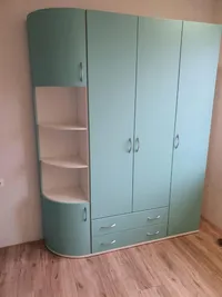 Шкаф 1 дверный узкий P220.60