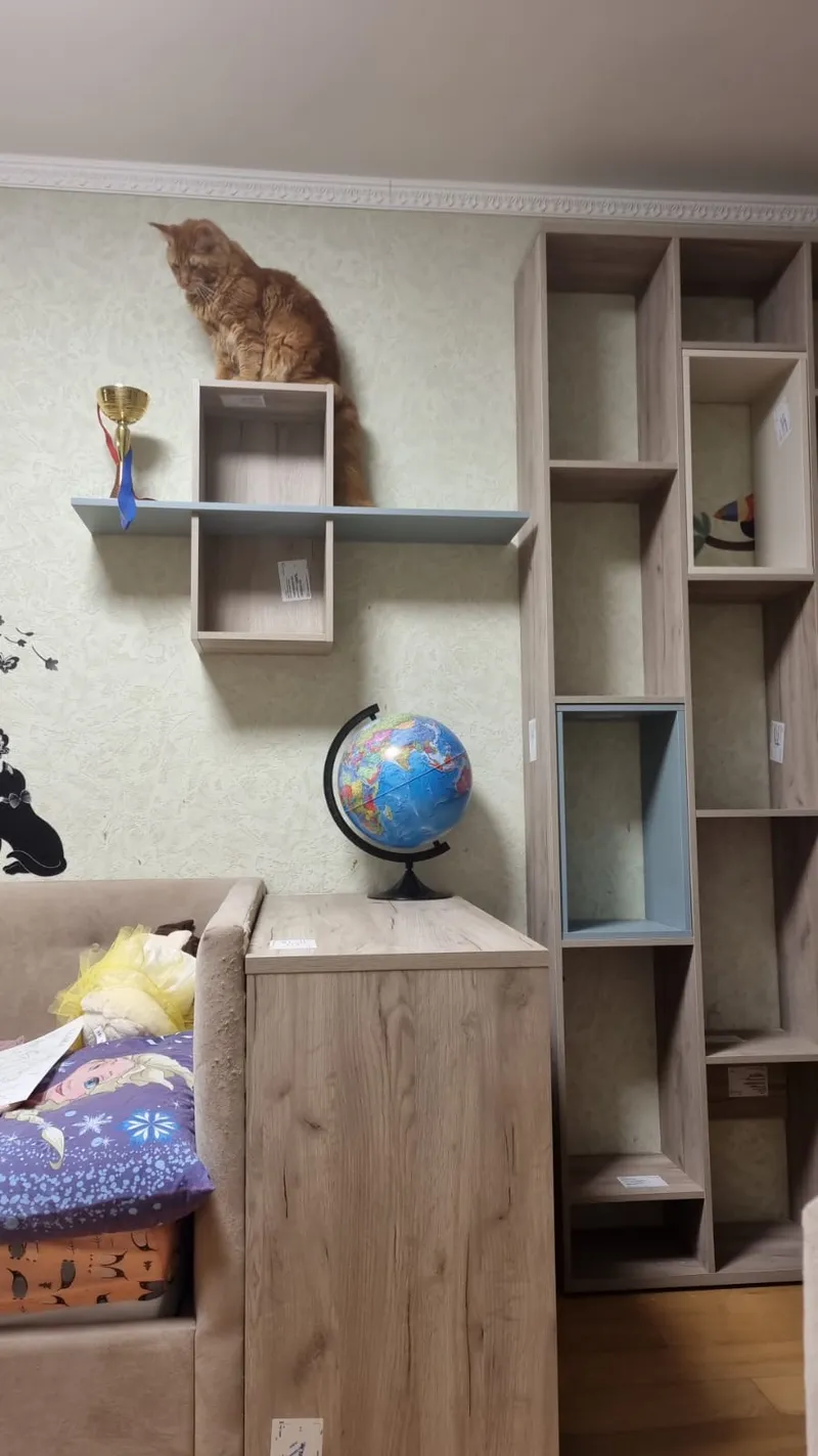 Стеллаж перегородка со вставками L238